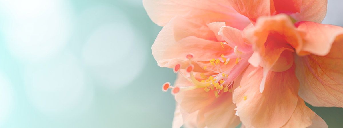 Lebensbalance - Kontakt